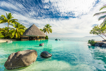 Wall Mural - infinity pool with palm tree rocks, tahiti, french polynesia