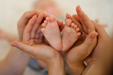 Baby Feet Heart: Little Baby Feet In Mom And Dad Hands