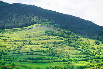 Beautiful, fresh morning in mountain landscape next to cultivated land. Farming in countryside between hills and dark green forest. Bright sunlight and fog all around. Small gravel roads  
