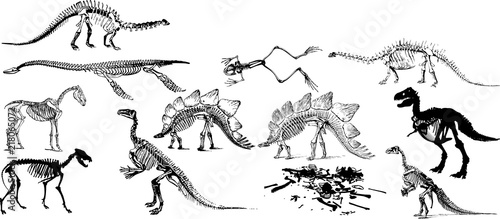 恐竜の化石のシルエット Stock Vector Adobe Stock