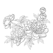 Spring Flowers Bouquet Of Contour Style Flower Garland. Label With Peony Flowers. Vector Illustration.