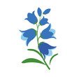 Nature flower bluebell flower
