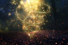 Abstract And Magical Image Of Glitter Firefly Flying In The Night Forest. Fairy Tale Concept.