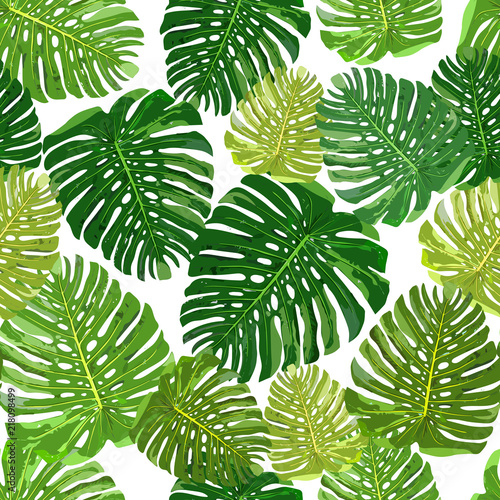 Tropical leaves seamless pattern colorful isolated hand drawn pl