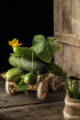 Green fresh cucumbers on a wooden cart