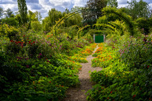 Alley Of Flowers In Monet's Garden In Giverny,  Normandy, France
