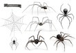 Realistic spider. Halloween 3d vector icon set