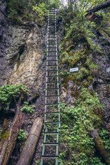 Sticker - Hiking trail in Monastery Gorge in Slovak Paradise mountain range in Slovakia