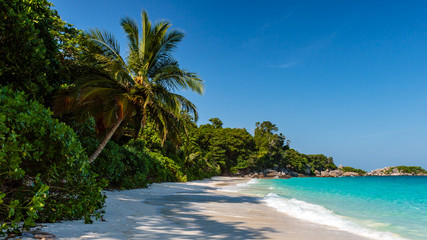 A beautiful, deserted, tropical sandy beach and lush green foliage