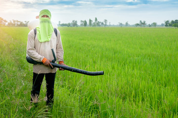 Thai farmer to herbicides or chemical fertilizers Equipment on the fields green rice growing.