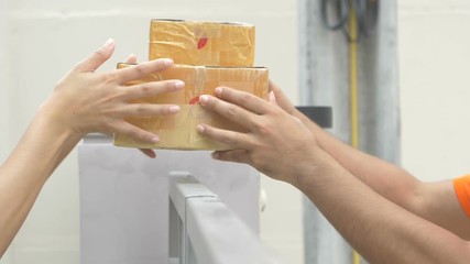 Wall Mural - Woman hand accepting a delivery of boxes from deliveryman