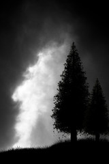 silhouette of two trees on a hill and a dangerous storm with dark threatening clouds