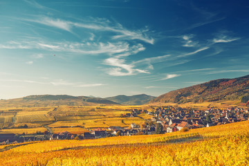 Wall Mural - Scenic mountain landscape with vineyards near the historic village of Riquewihr, Alsace, France. Colorful travel and wine-making background.