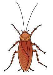 Cockroach illustration, doodle, cartoon, drawing, ink, line art, vector