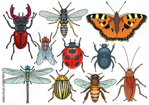 Insect Collection Illustration Doodle Cartoon Drawing Ink Line Art Vector Buy This Stock Vector And Explore Similar Vectors At Adobe Stock Adobe Stock
