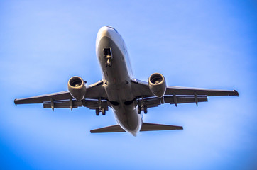 Wall Mural - Airplane ist landing