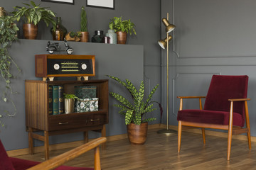 Radio on wooden cabinet next to plant and red armchair in grey vintage living room interior. Real photo