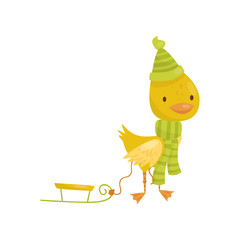 Wall Mural - Cute little yellow duckling character in green scarf and hat walking with sled vector Illustration on a white background