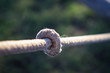 Old rope knot
