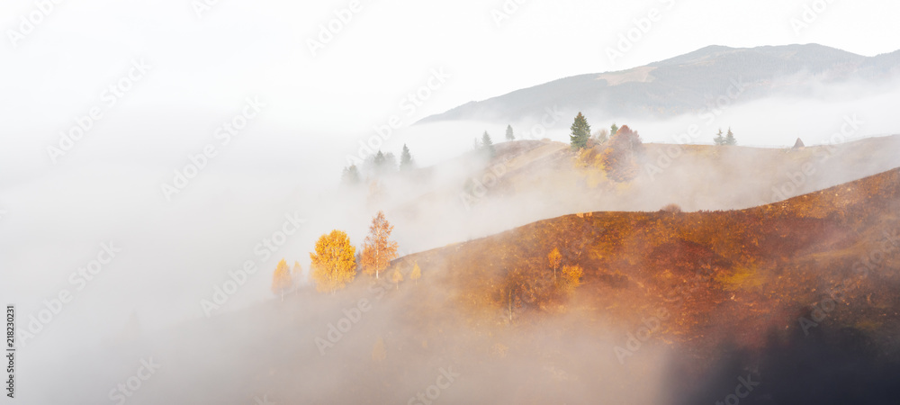 Amazing scene on autumn mountains. Yellow and orange trees in fantastic morning sunlight. Carpathians, Europe. Landscape photography - obrazy, fototapety, plakaty 