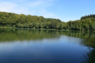 Canvas Print - Spiegelndes Wasseroberfläche, Holzmaar in der Eifel