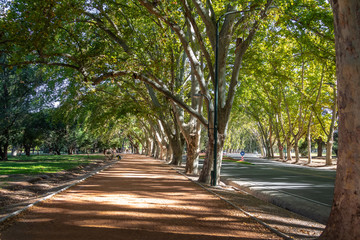 Wall Mural - General San Martin Park - Mendoza, Argentina