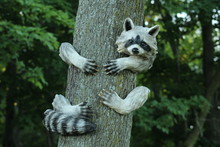 Raccoon Tree Ornament For A Garden Tree Decoration