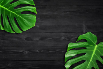 Creative layout summer tropical leaf Flat lay composition. Green tropic leaves frame with copy space on dark black wood background. Minimal concept 