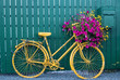 Close up on vintage decorative yellow bicycle with flower basket up against green wooden fence