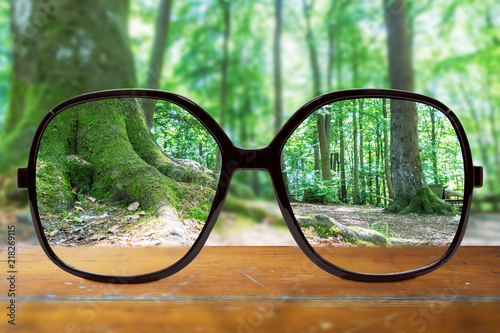 Moderne Brille Auf Einem Holztisch Vor Bäumen Im Wald Adjustment Wall Mural  | Adjustme-OFC Pictures