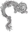 Eastern dragon . Black and white tattoo style outline vector illustration 