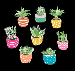 Wall Mural - potted plants collection. succulents and house plants. hand drawn vector art.  Set of house indoor plant vector cartoon doodle.