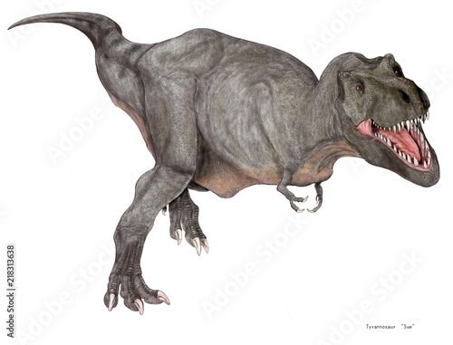 ティラノサウルス Sue スー 雌のティラノサウルス 90 の骨格がそろって発見された 最も再現性の高いティラノサウルス シカゴ自然史博物館に展示されている デジタルハンドドローの イラスト画像 です Buy This Stock Illustration And Explore Similar ティラノサウルス Sue スー 雌のティラノサウルス 90 の骨格がそろって発見された 最も再現性の高いティラノサウルス シカゴ自然史博物館に展示されている デジタルハンドドローの イラスト画像 です Buy This Stock Illustration And Explore Similar