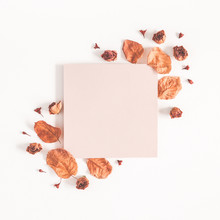 Autumn Composition. Paper Blank, Dried Flowers And Leaves On White Background. Autumn, Fall Concept. Flat Lay, Top View, Copy Space, Square