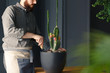 Close-up of man with gardening hobby taking care of cactus at home