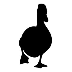 Wall Mural - vector, isolated on a white background silhouette goose, duck