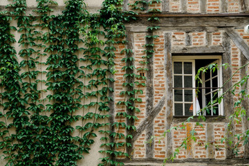 Window of a french building at the old town