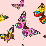 Fototapeta Motyle - pattern,beautiful pink butterflies, isolated  on a white