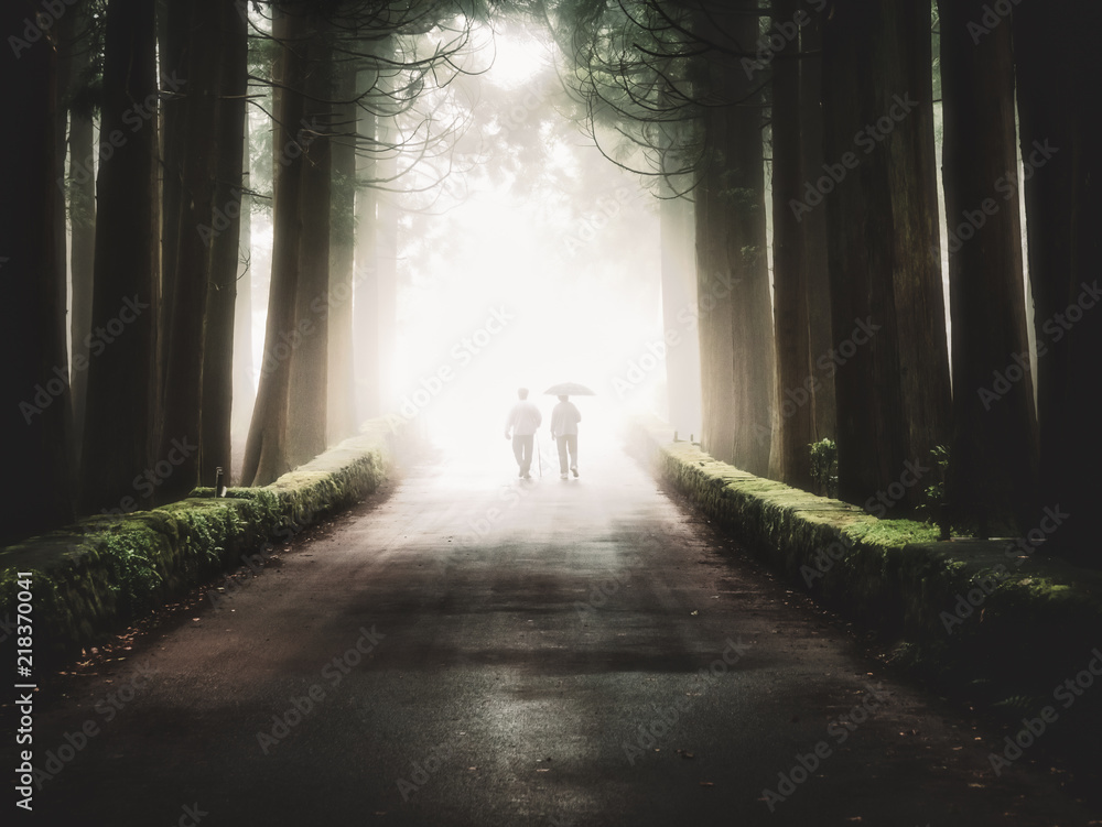 Couple walking through dark and foggy forest towards the light Stock ...