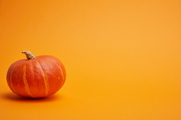 single whole ripe pumpkin on orange background