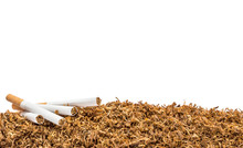 Border From Cigarettes On Pile Of Cut Tobacco Isolated On White.