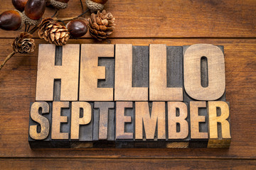 Sticker - Hello September  word abstract in wood type