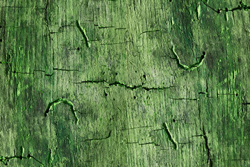 Wall Mural - Old brown wood texture. Abstract background.