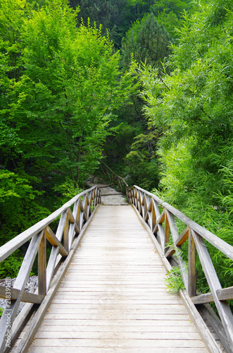 Plakat most w dżungli   sliczny-most-w-lesie