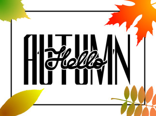 Wall Mural - Hello autumn. Hand drawn different colored autumn leaves. Sketch, frame, design elements. Gift card layout. Vector illustration.