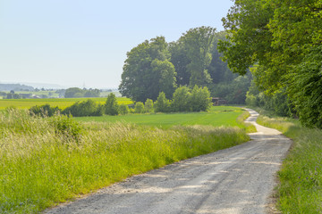 Wall Mural - idyllic rural scenery at early spring time