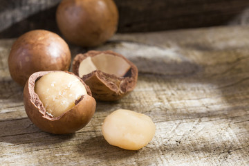 Sticker - Macadamia nuts dried fruit, very nutritious and energetic - Macadamia integrifolia