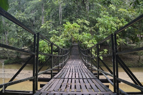  Fototapeta most w dżungli   solidny-most-w-dzungli