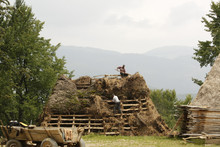 Two Countrymen Working On A Wooden Roof Covering It With Hay