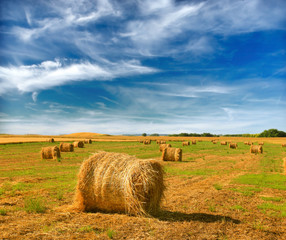 Poster - Hay bale in the countryside